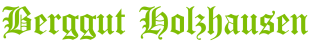 Logo Berggut Holzhausen