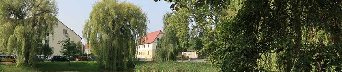 Teich Holzhausen im Frühling